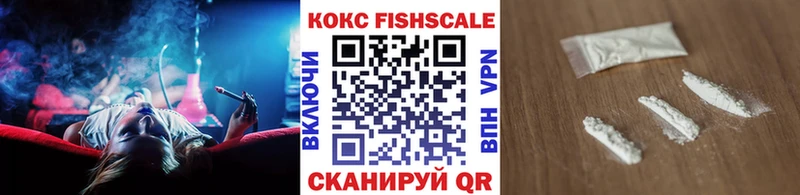 mega зеркало  Жиздра  Cocaine Fish Scale 