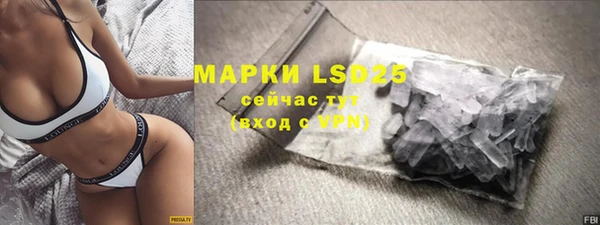 мет Алексин