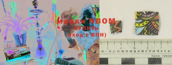 мет Алексин