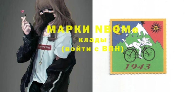 мет Алексин