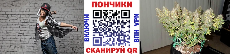 закладка  Жиздра  МАРИХУАНА MAZAR 